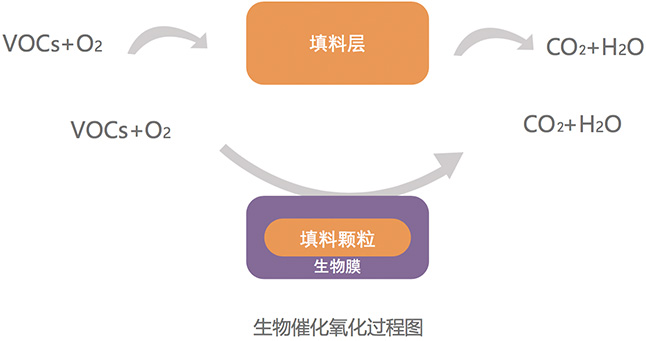 核心技術